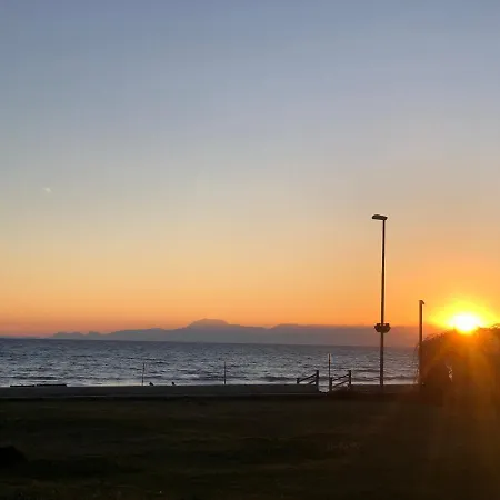 アパート Seaside No-1 シダ